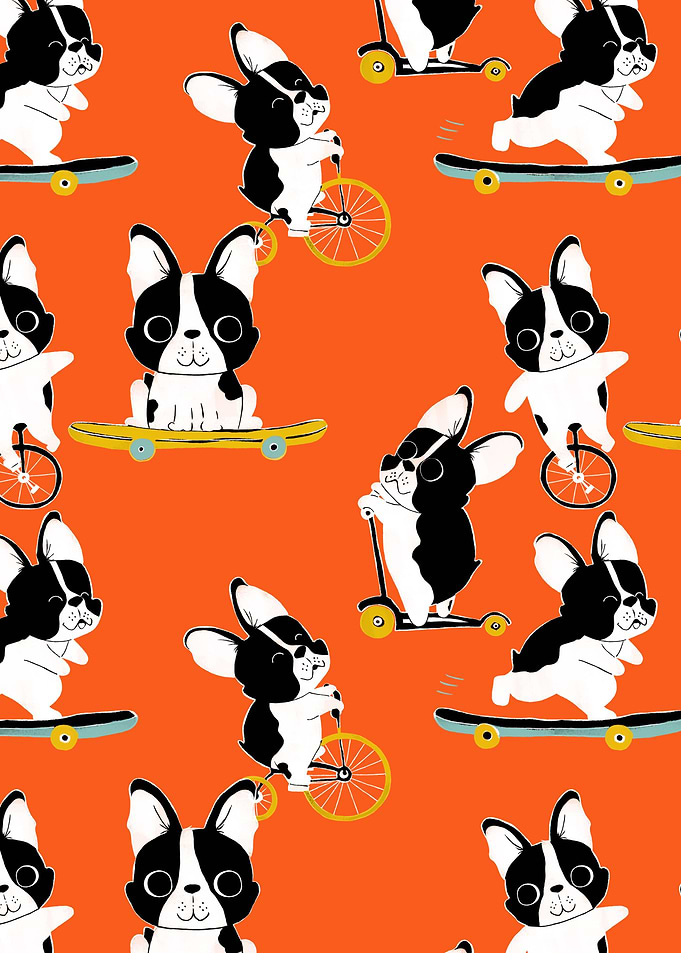Cute boston terrier