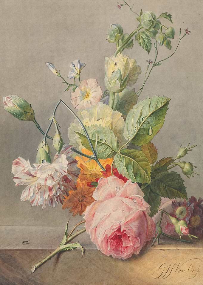 Flower Vintage