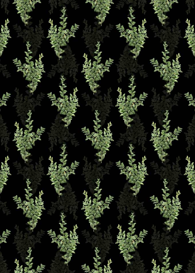 Black Boxwood Bush Pattern