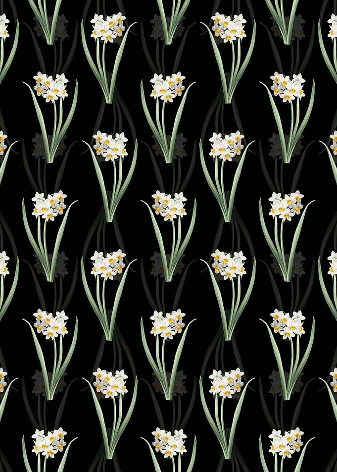 Narcissus Easter Flower