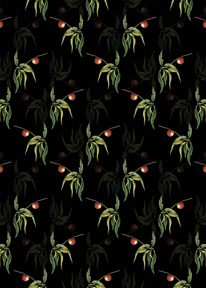 Black Floral Peach Pattern
