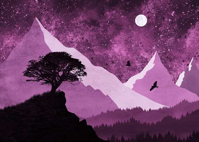 Owls night