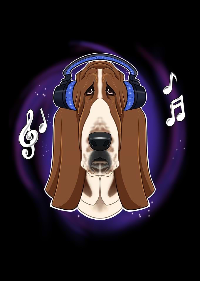 Music Lover I Basset Hound