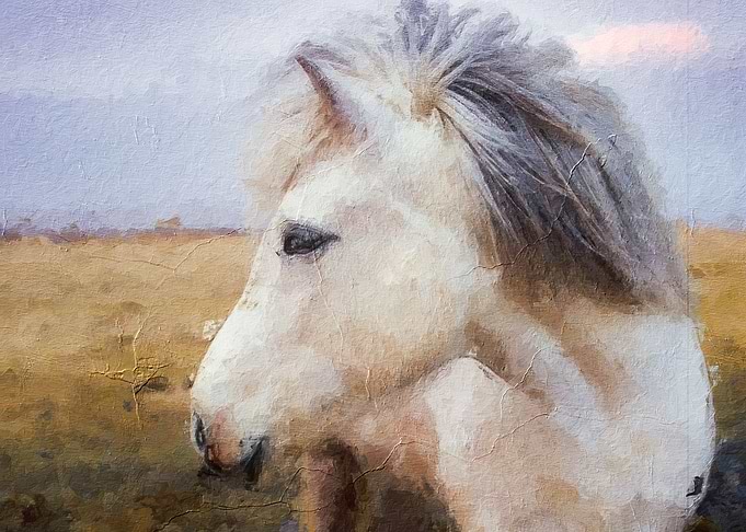 The Horse