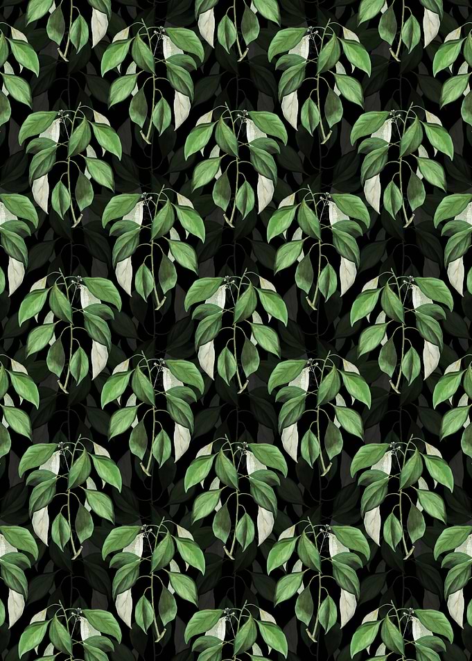 Black Camphor Tree Pattern