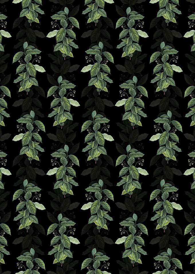 Broadleaf Spindle Pattern
