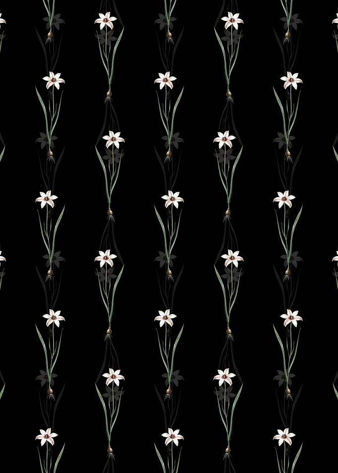 Floral Lady Tulip Pattern