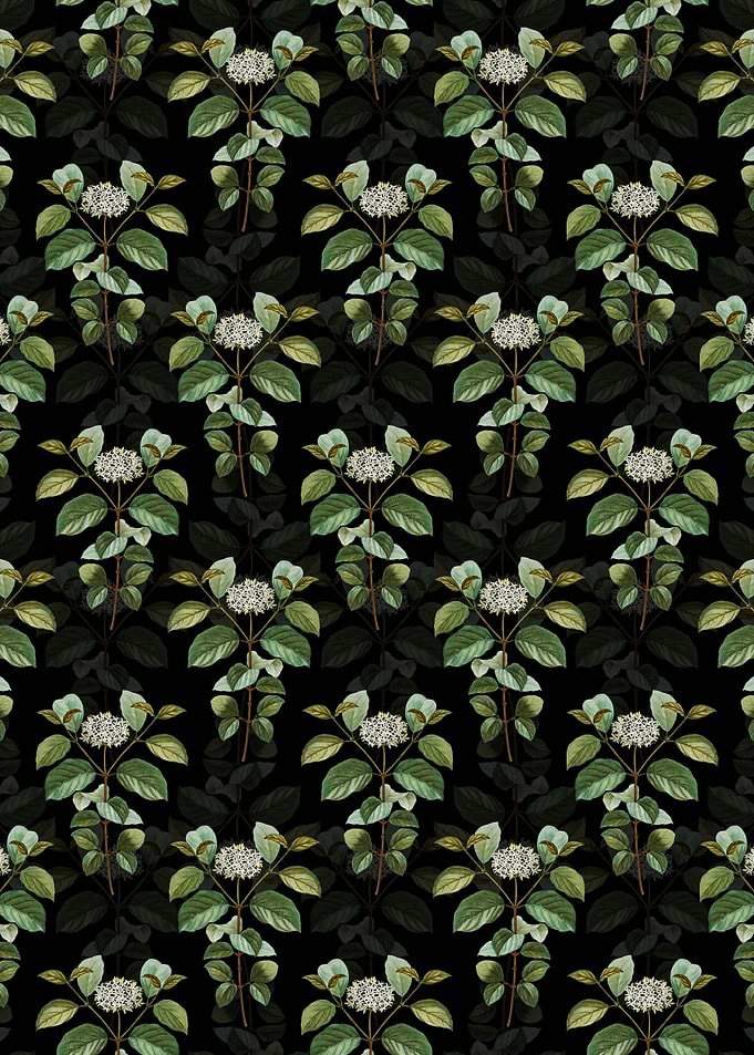Common Dogwood Pattern