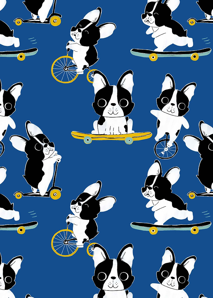 Cute boston terrier