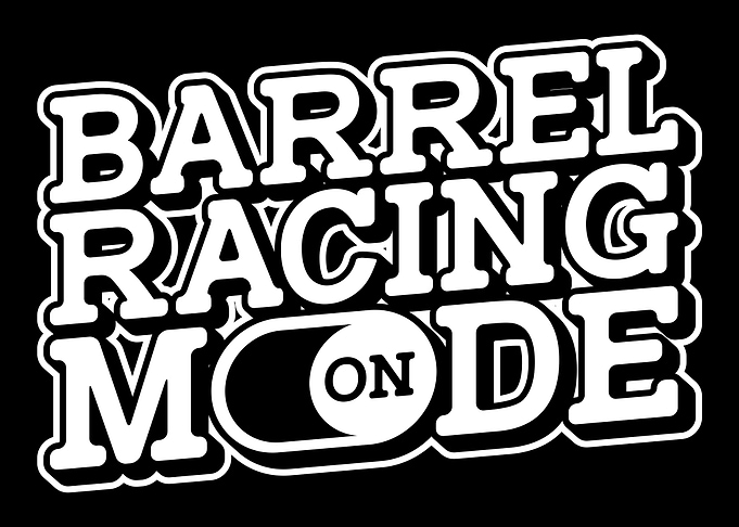 Barrel Racing Show Horse