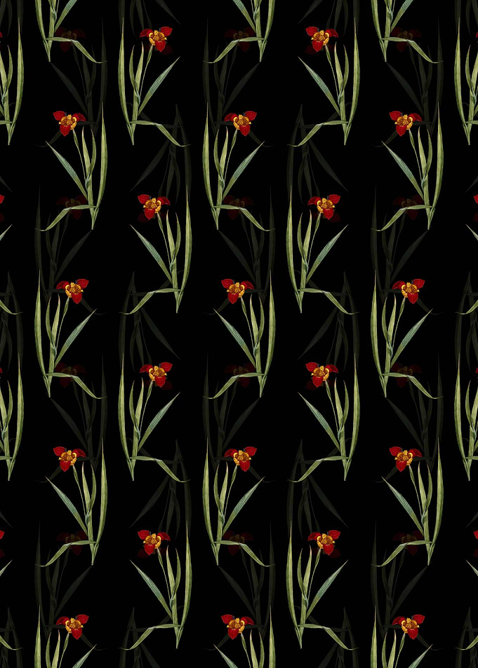Black Tiger Flower Pattern