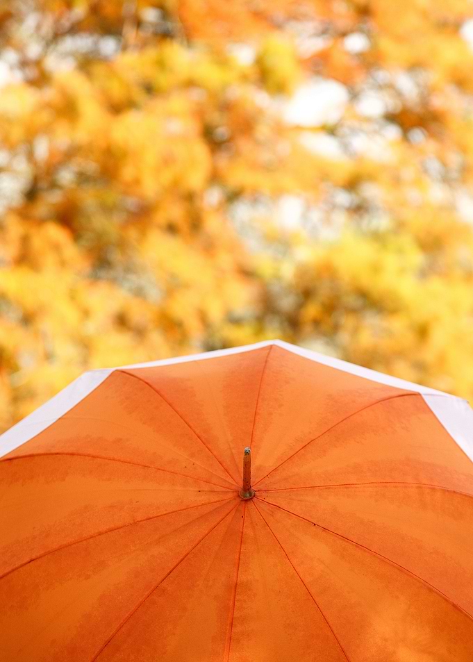 Autumn colors