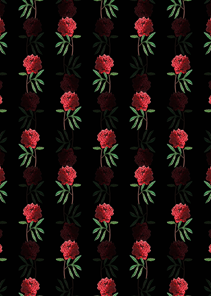 Black Potts Chinese Peony