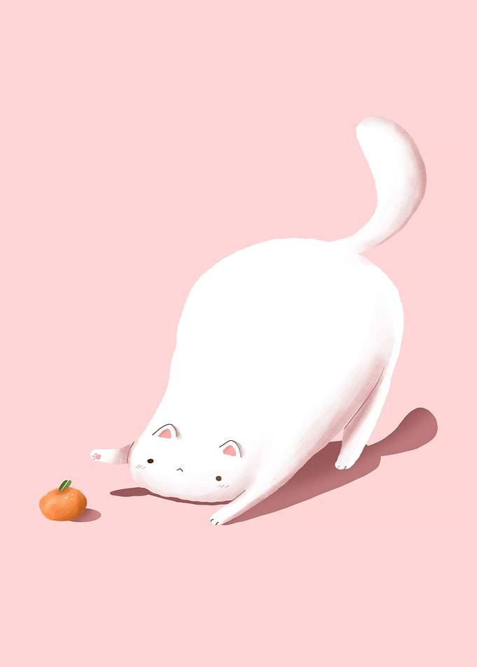 Orange CAT