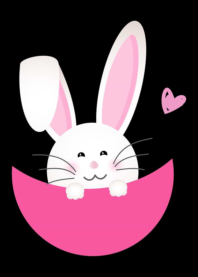 Heart Bunny Rabbit Easter