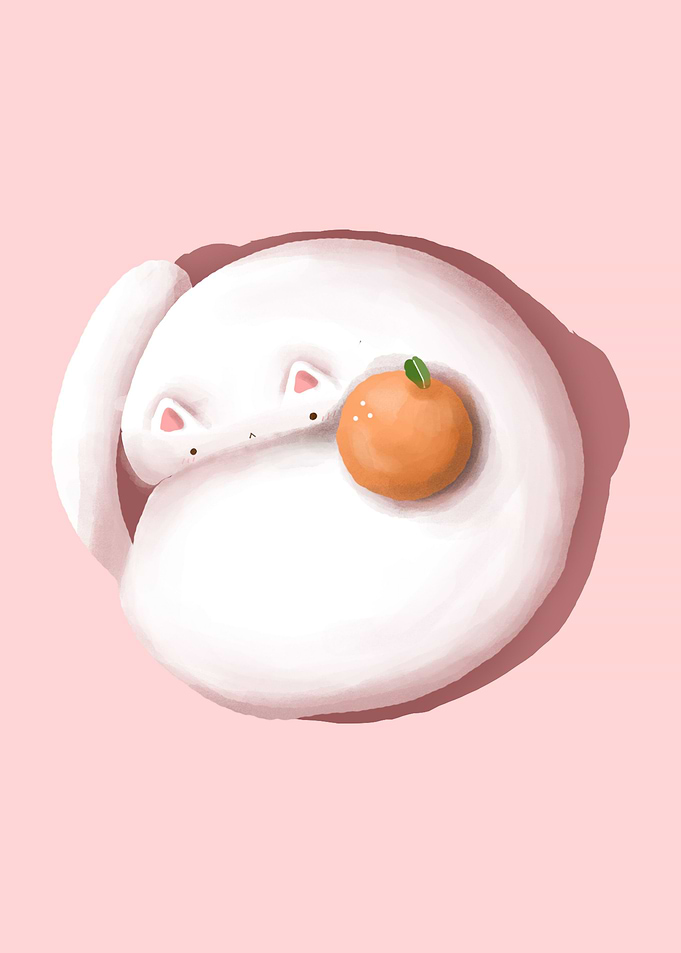 Orange Cake CAT