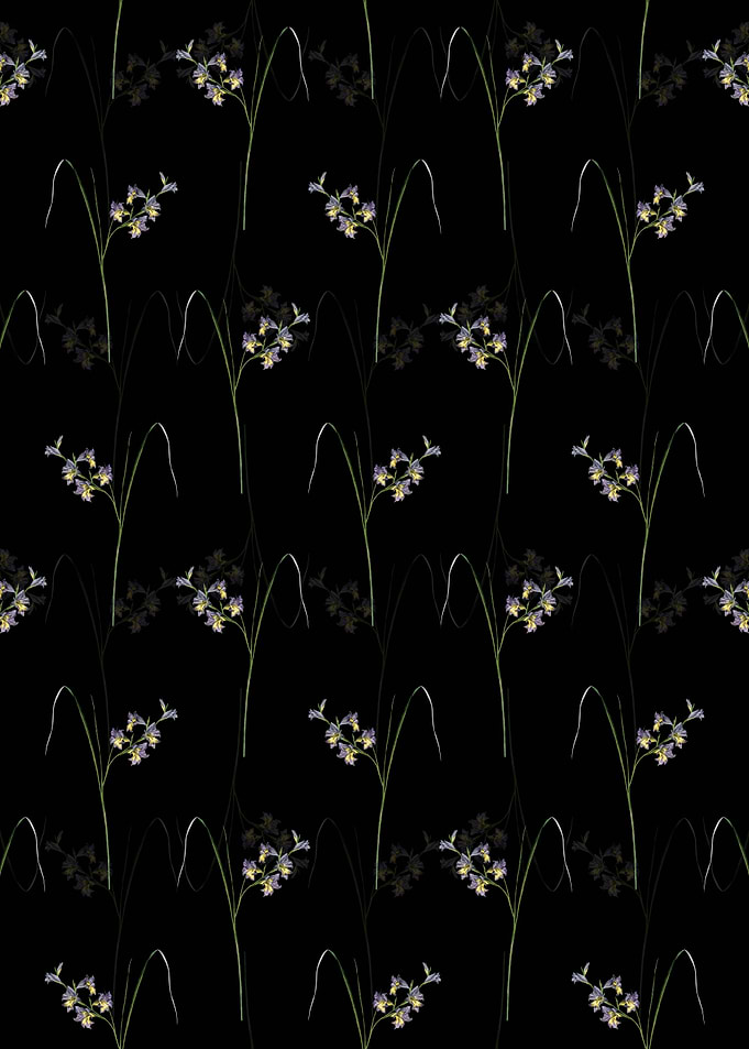 Gladiolus Ringens Pattern