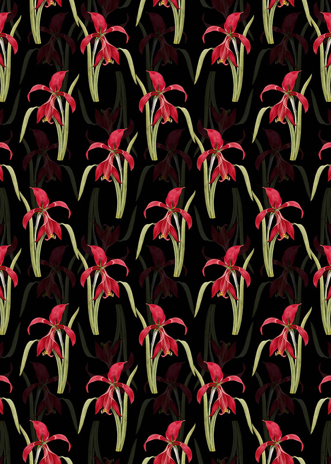 Floral Amaryllis Pattern