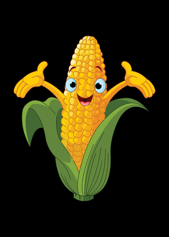 Corn Cereal Maize Farming