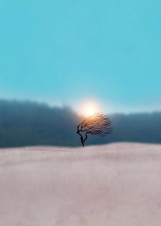 Minimal Landscape 3