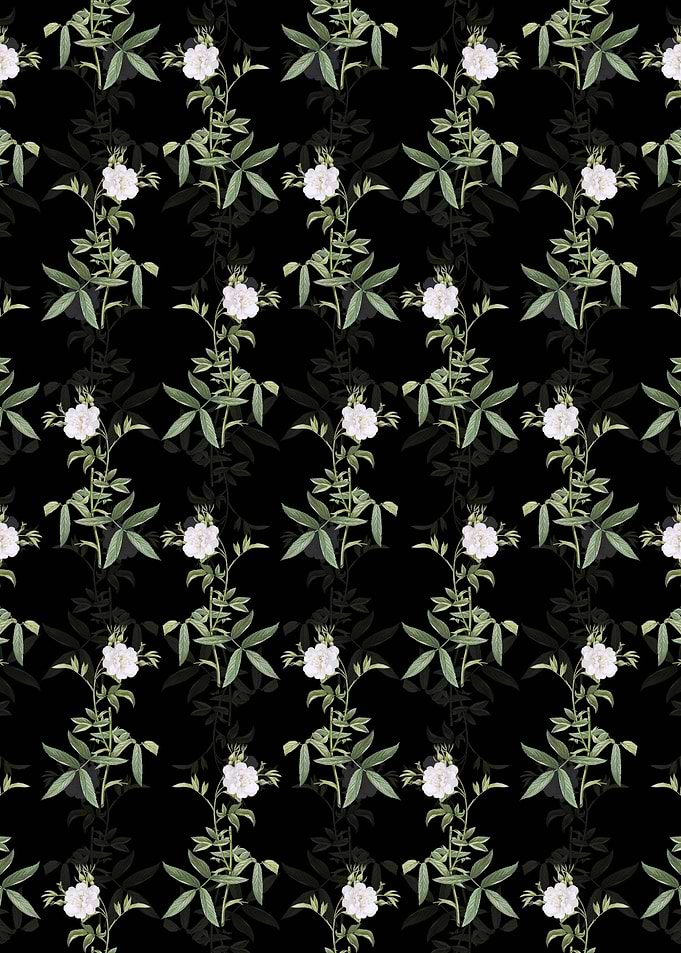White Rose of York Pattern