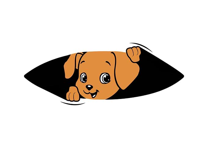 Baby Dog Pregnancy