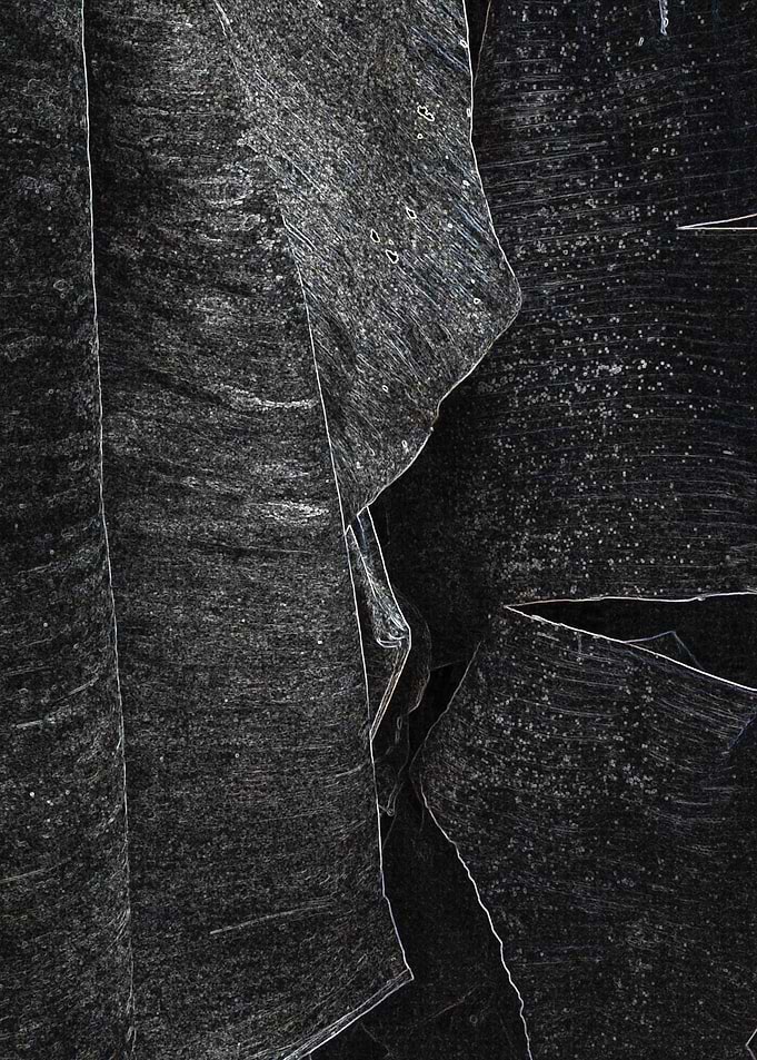 Banana Leaves Poster