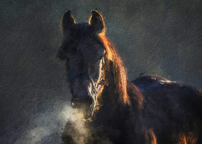 Black Horse