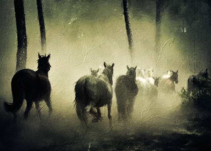 Black Horse
