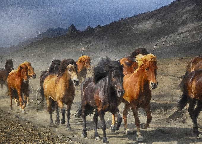 Black Horse