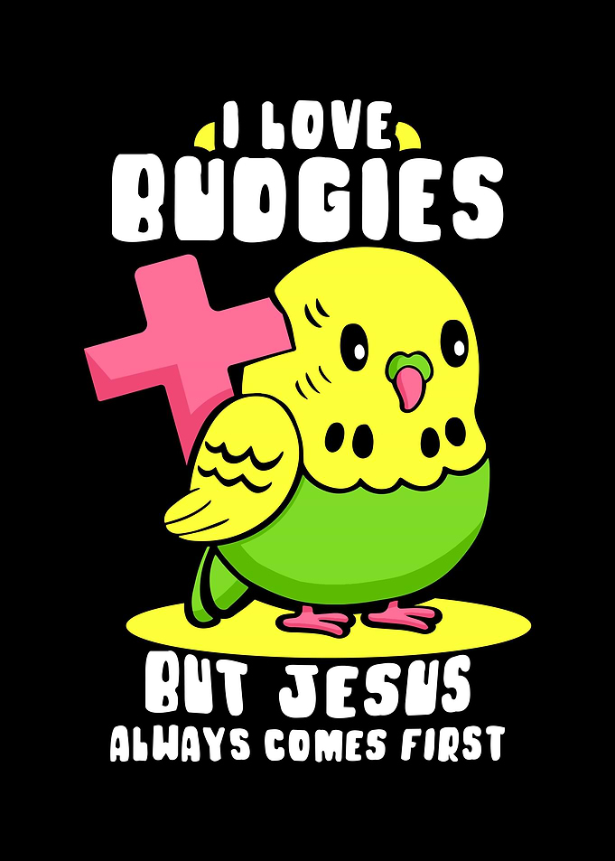 Budgie Budgeriga