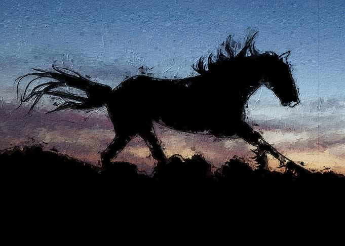 The Horse