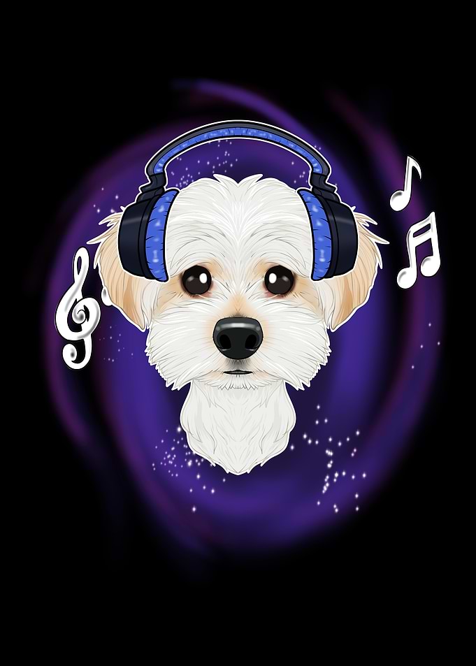 Music Lover I DJ Maltese