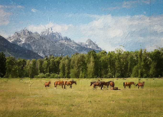 The Horse