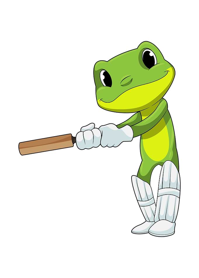Frog Cricket Sports