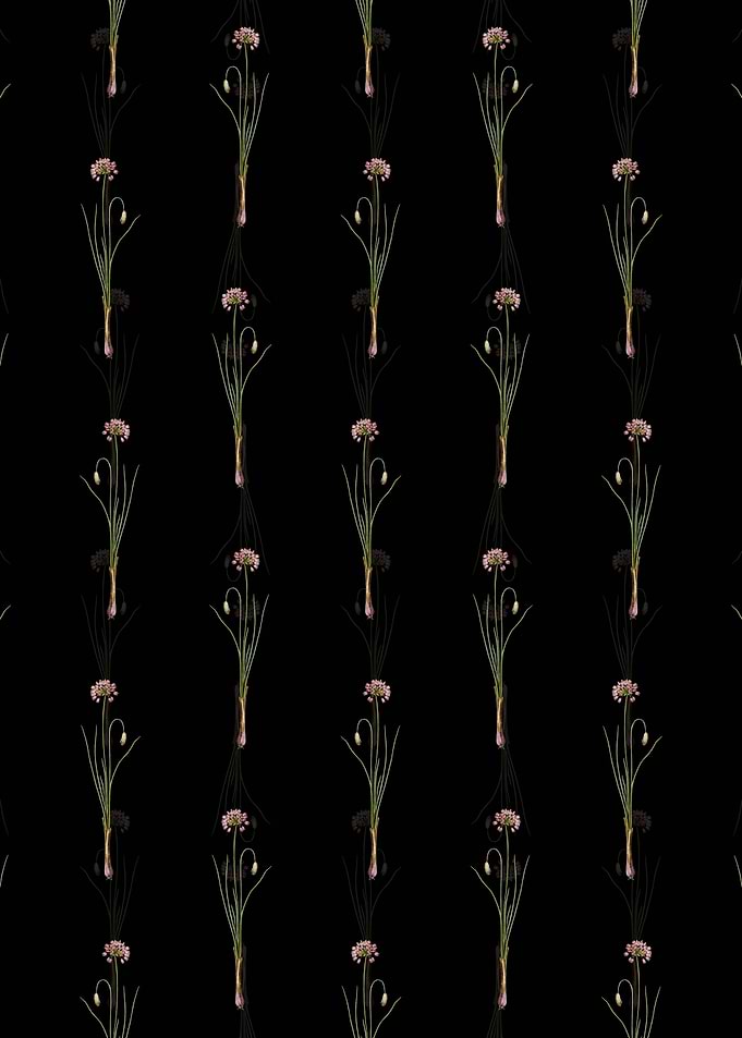 Black Autumn Onion Pattern
