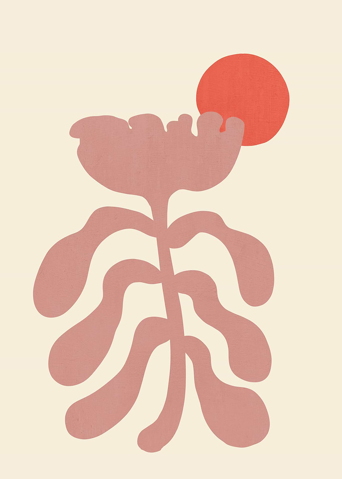 Botanicals Under The Sun 2