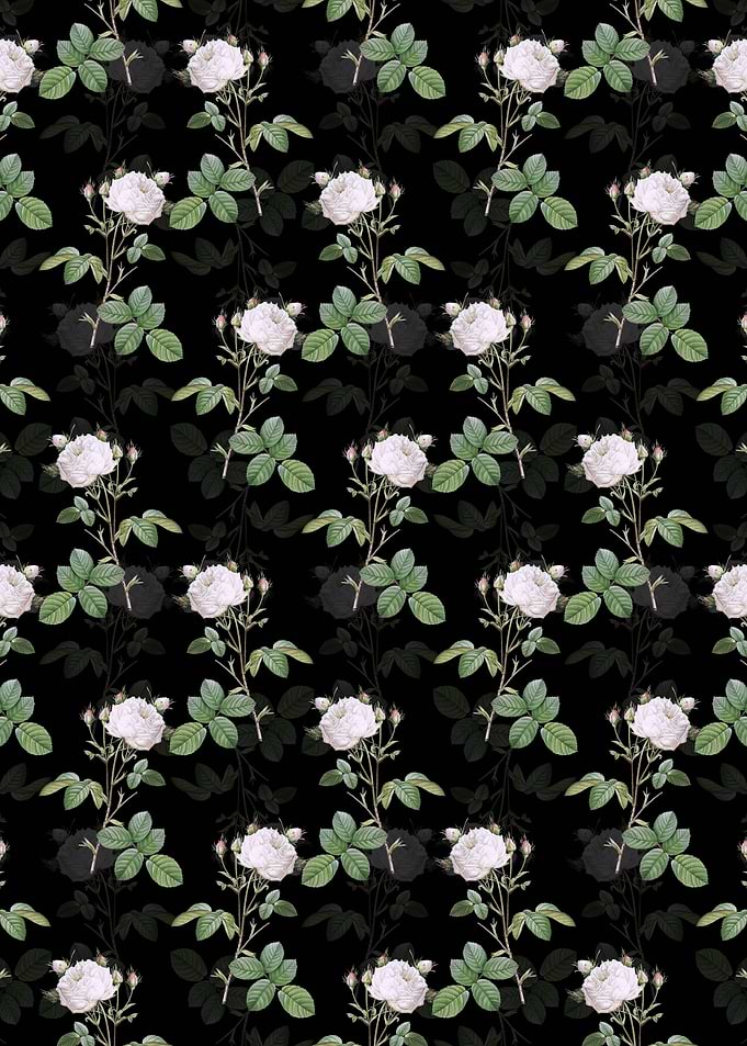 Black White Provence Rose