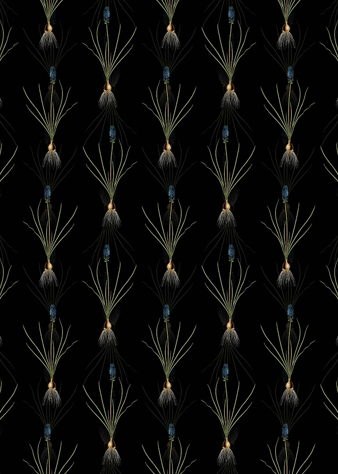 Grape Hyacinth Pattern