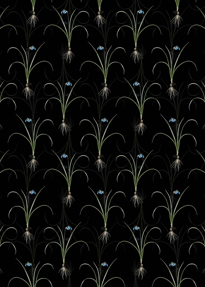 Floral Brimeura Pattern
