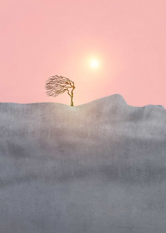 Minimal Landscape 1