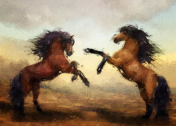 Black Horse