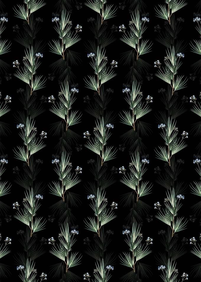 Floral Blue Stars Pattern