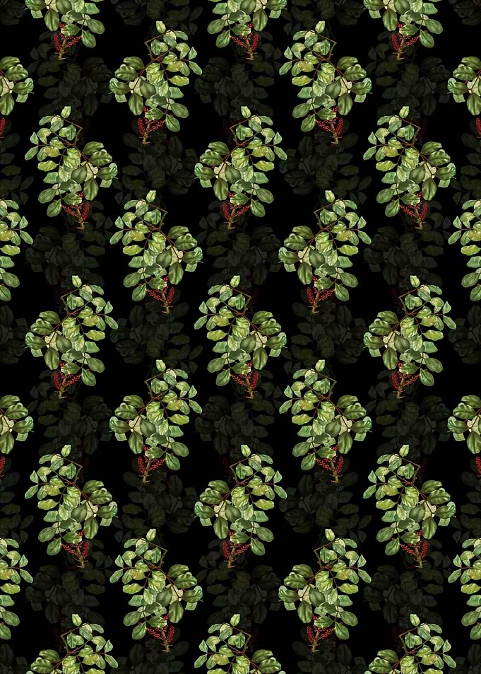 Floral Carob Tree Pattern