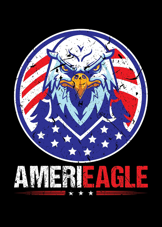 Eagle 4th Of July USA Flag