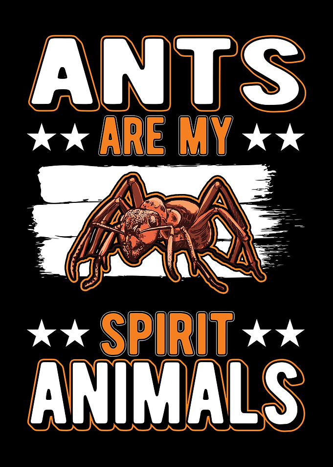 Ant Farm Ant Keeper