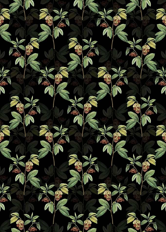 Papaw Tree Branch Pattern