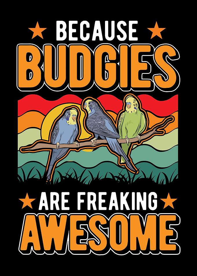 Budgie Gift Parakeet