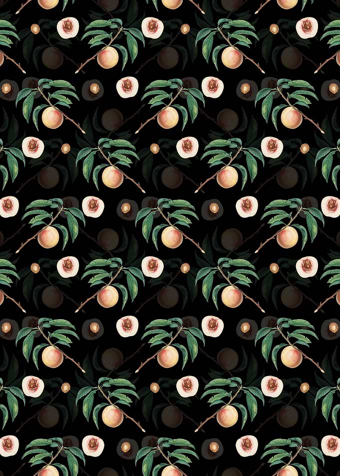Black White Speckled Peach