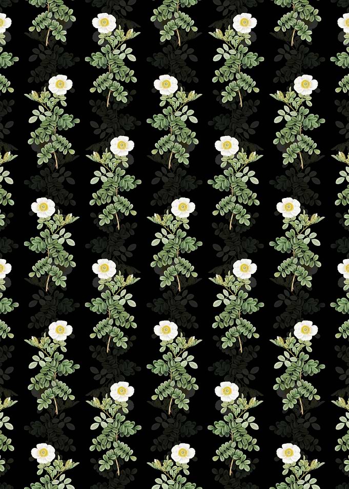 Macartney Rose Pattern